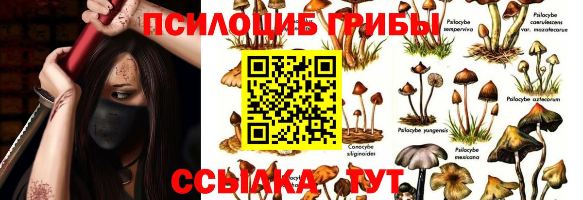 Энгельс  Псилоцибиновые грибы Magic Shrooms  Вход с VPN  Галлюциногенные грибы Magic Shrooms 